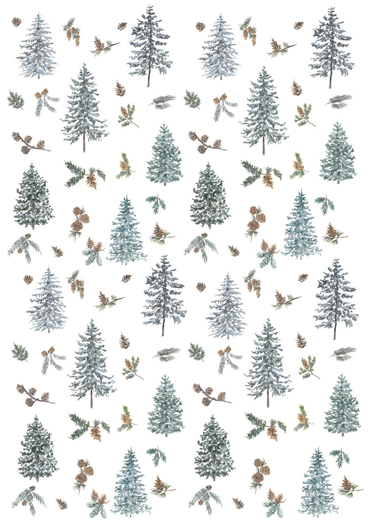 Sapin Baumier / Frasier Fir - Linge De Maison / Kitchen Linen