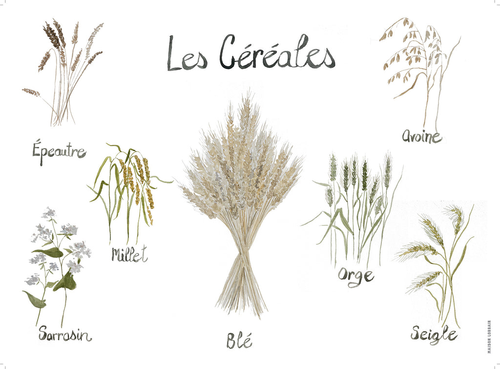 Napperon de Vinyle - Les Céréales / Cereals