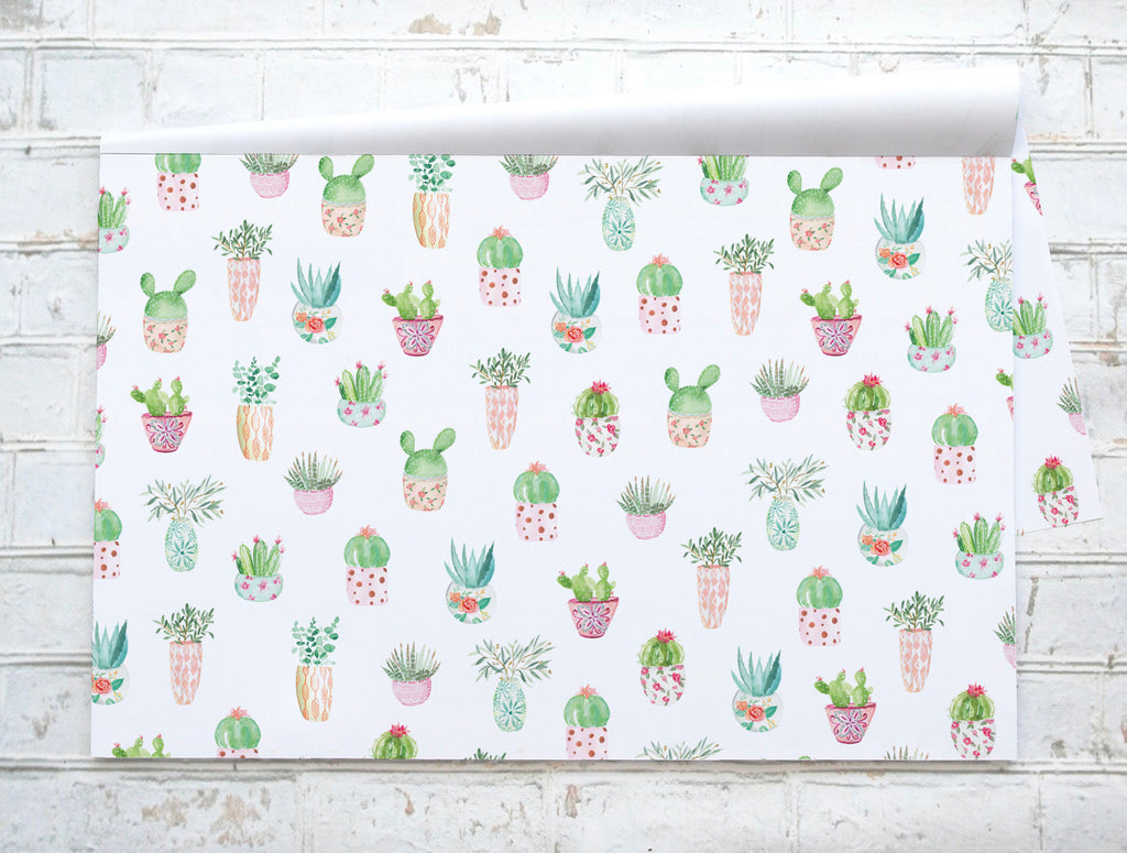 Bébés plantes / Baby plants - Napperons de papier / Paper placemats