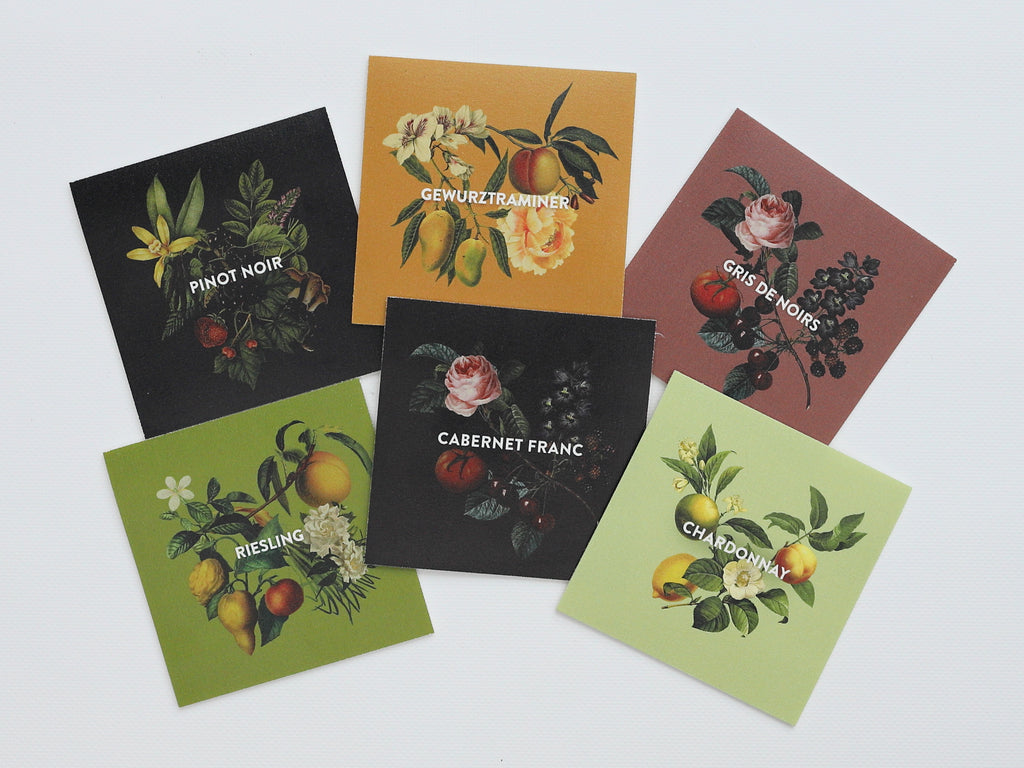Collection "Les cepages" - "Grape varieties"