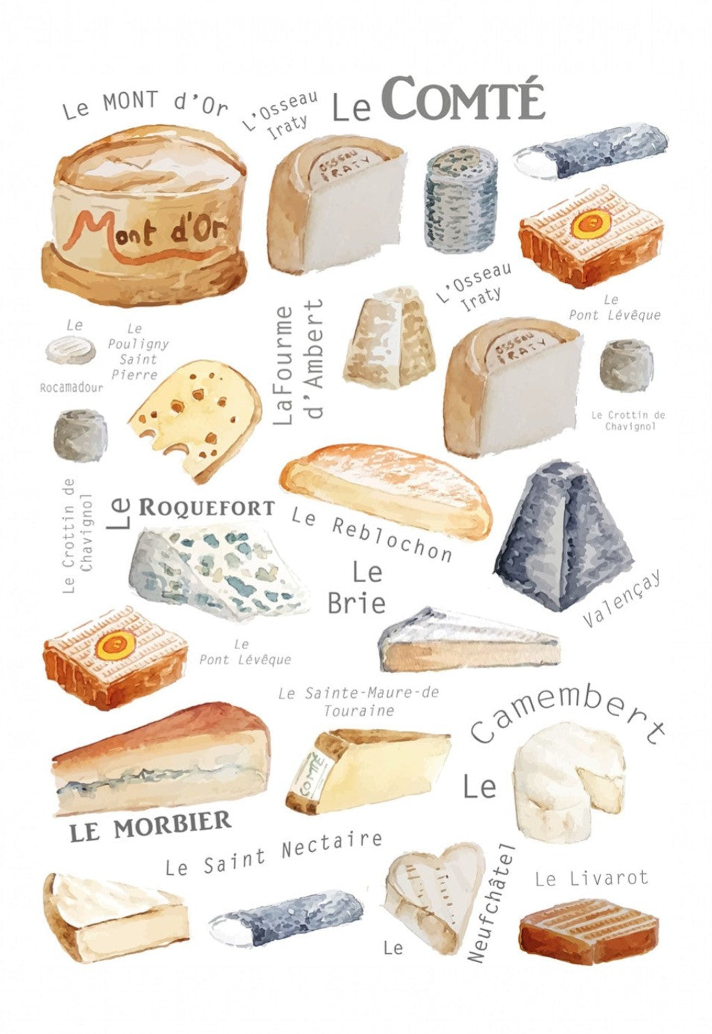NEW Carte de souhaits - Fromages / Greeting Card