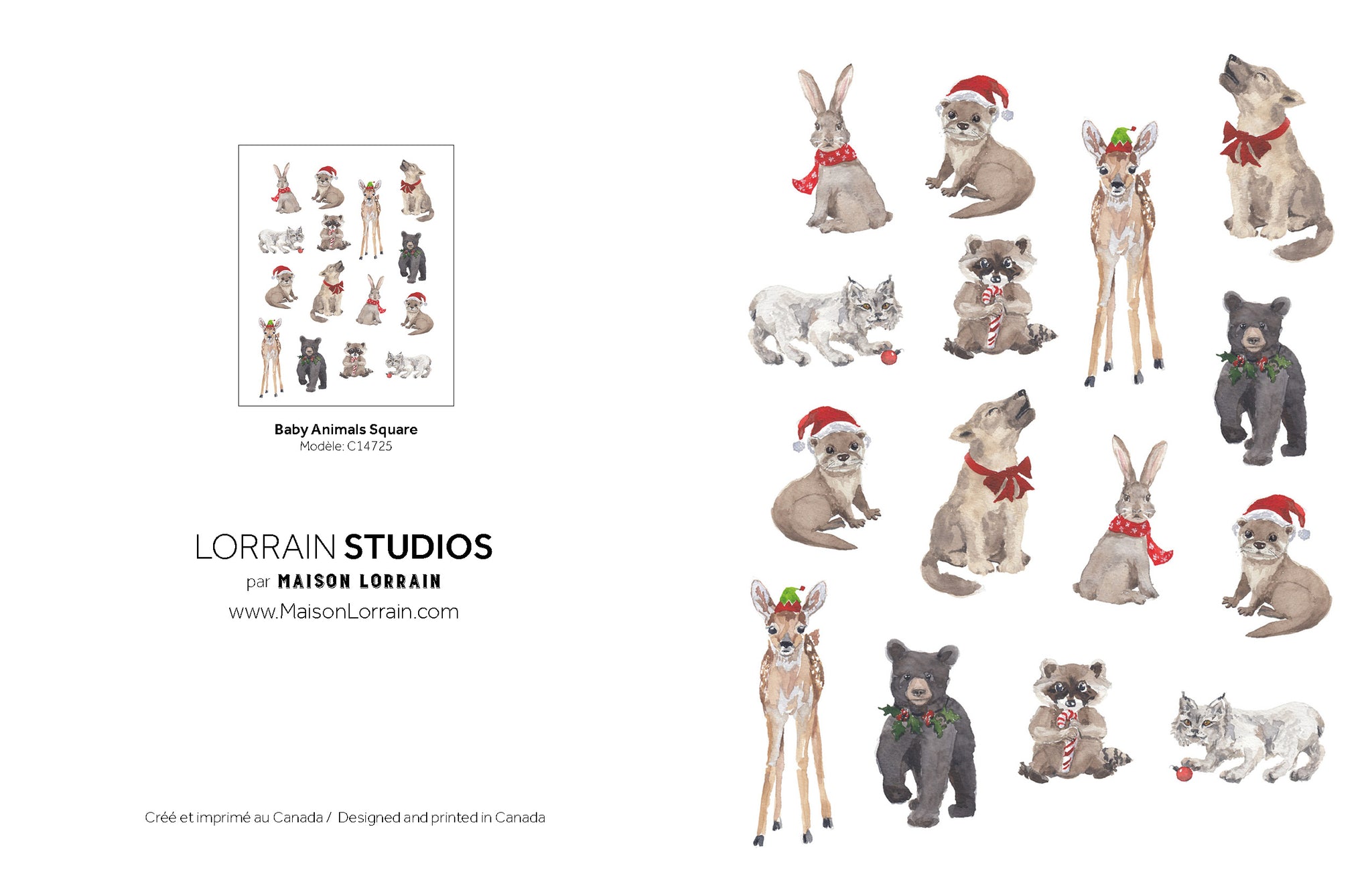 NEW Carte de souhaits - Baby Animals Square / Greeting Card