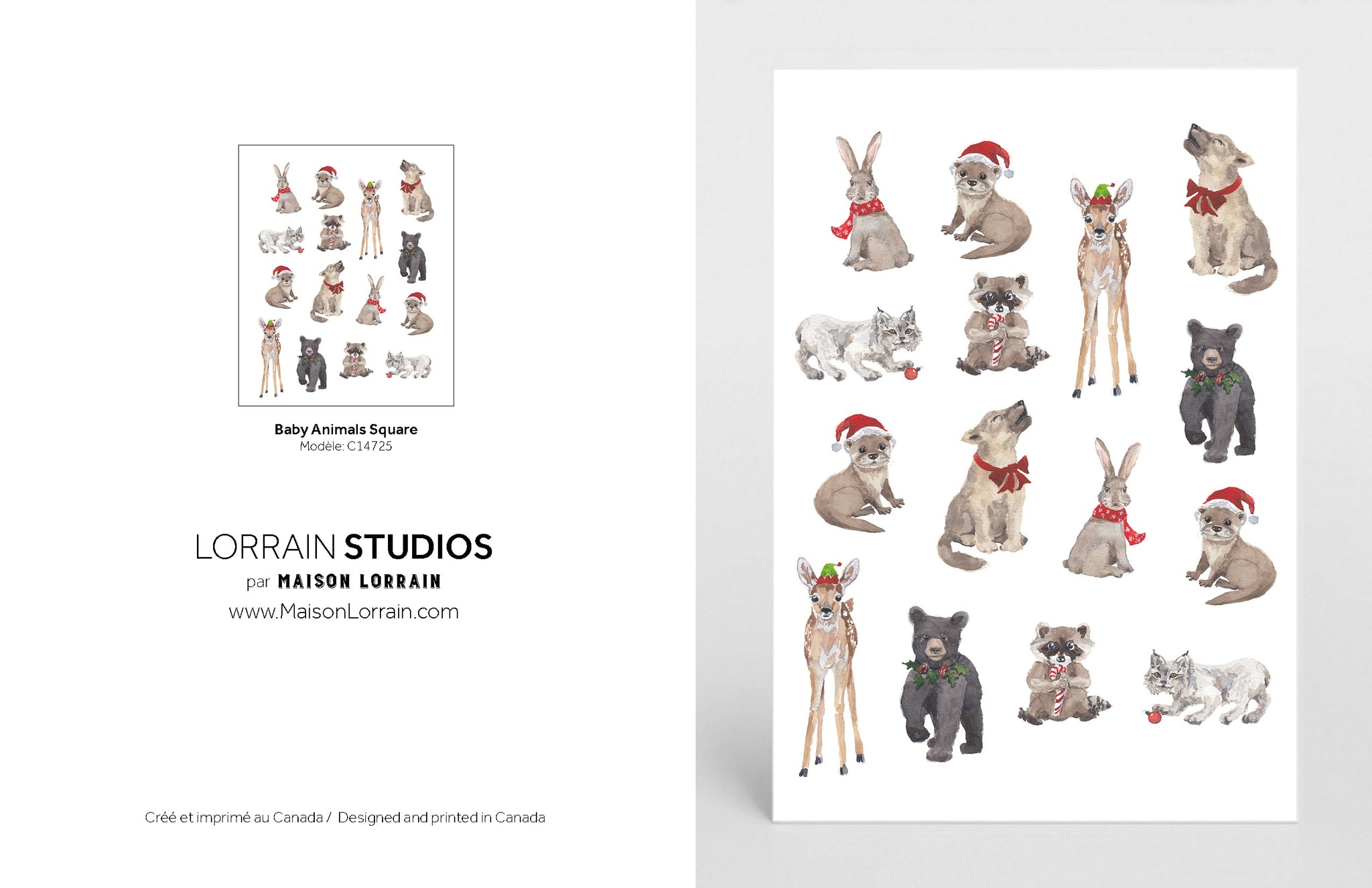 NEW Carte de souhaits - Baby Animals Square / Greeting Card