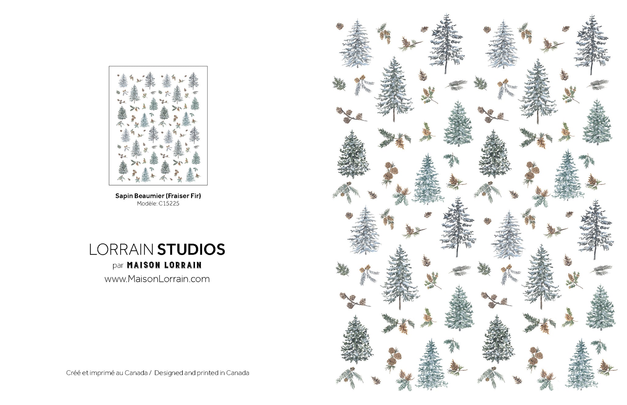 NEW Carte de souhaits - Sapin Beaumier / Fraiser Fir Greeting Card