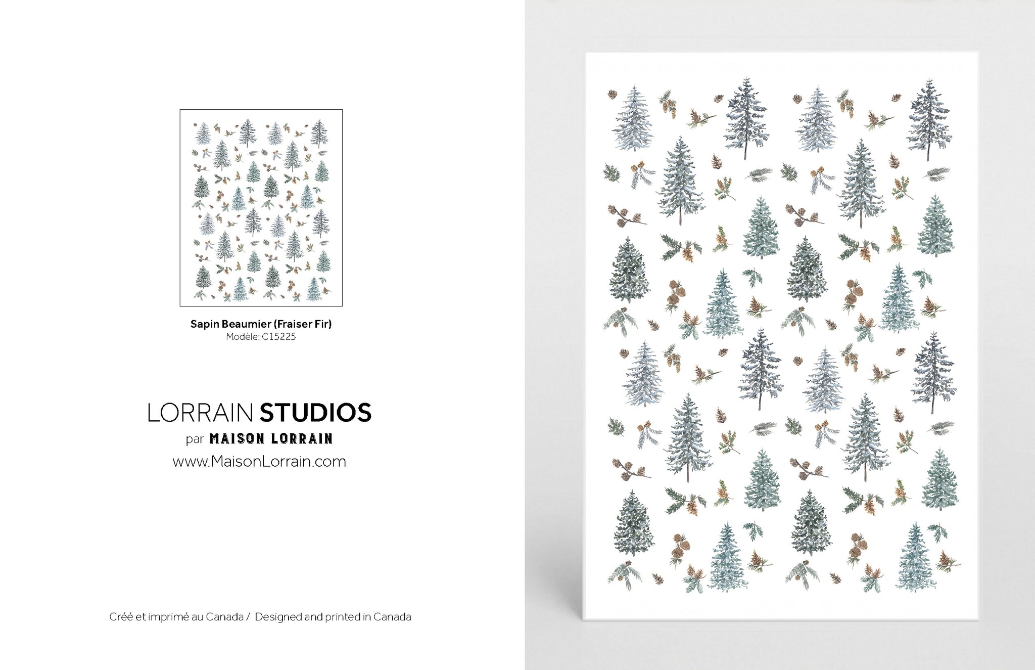 NEW Carte de souhaits - Sapin Beaumier / Fraiser Fir Greeting Card