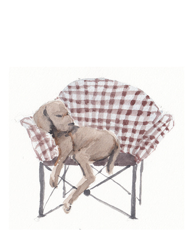 NEW Carte de souhaits - Glamping Dog / Greeting Card