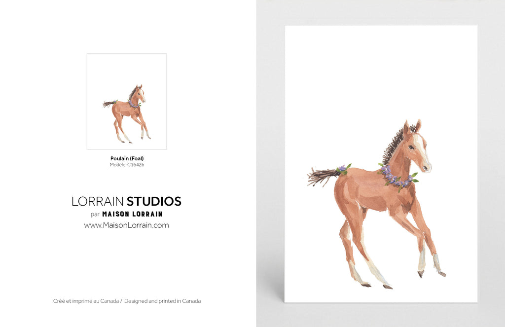 NEW Carte de souhaits - Poulain / Greeting Card - Foal