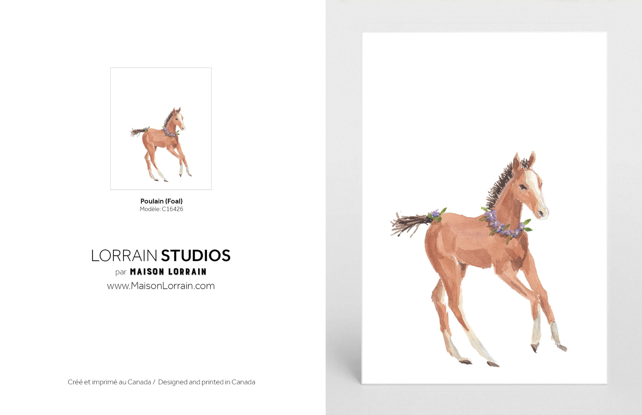 NEW Carte de souhaits - Poulain / Greeting Card - Foal