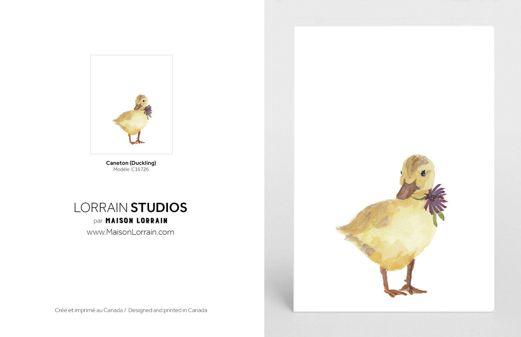 NEW Carte de souhaits - Caneton / Greeting Card - Duckling