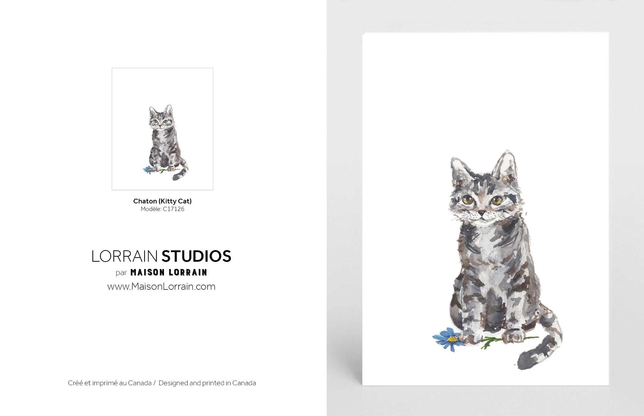 NEW Carte de souhaits - Chaton / Greeting Card - Kitty Cat