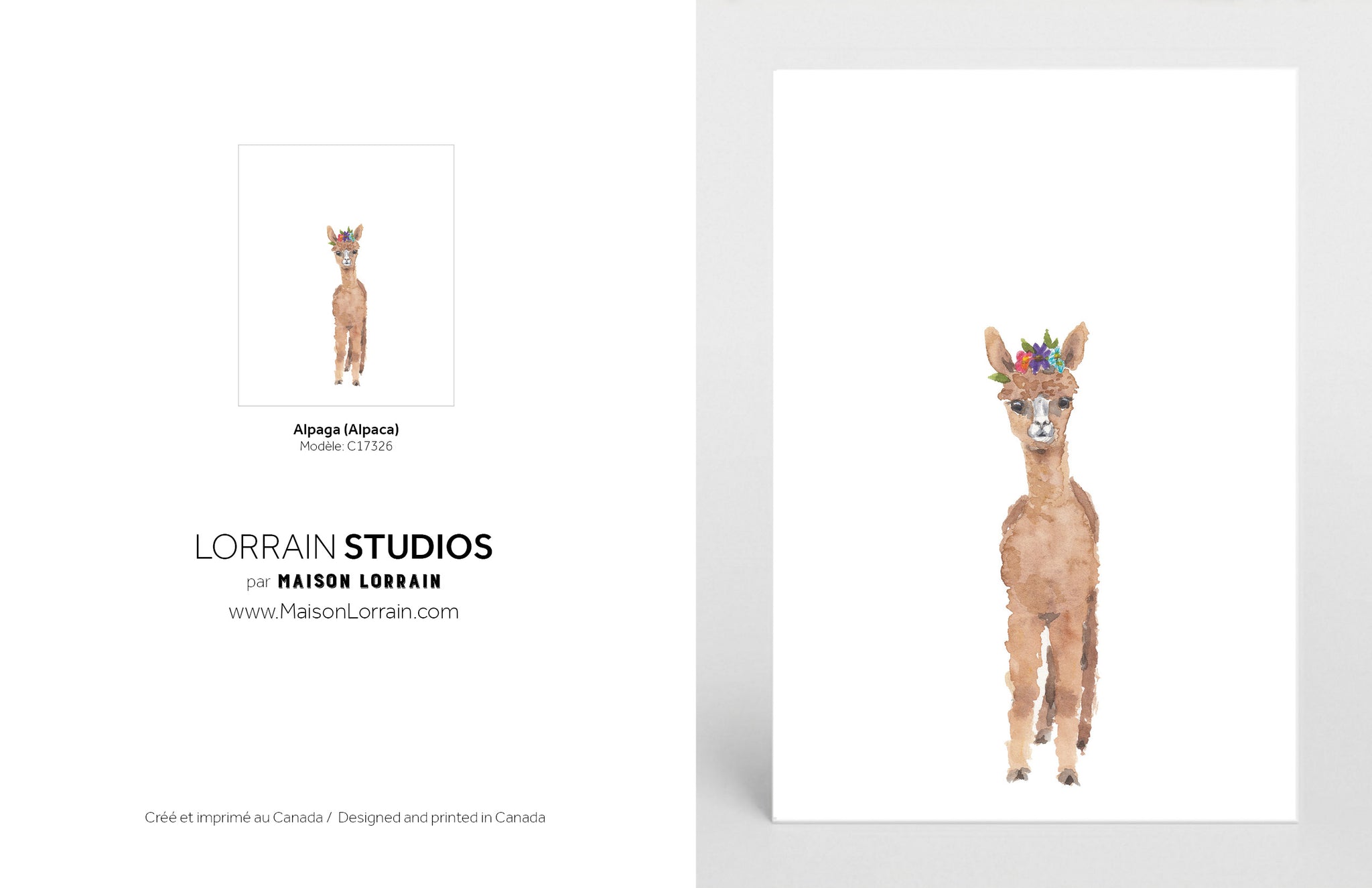 NEW Carte de souhaits - Alpaga / Greeting Card - Alpaca