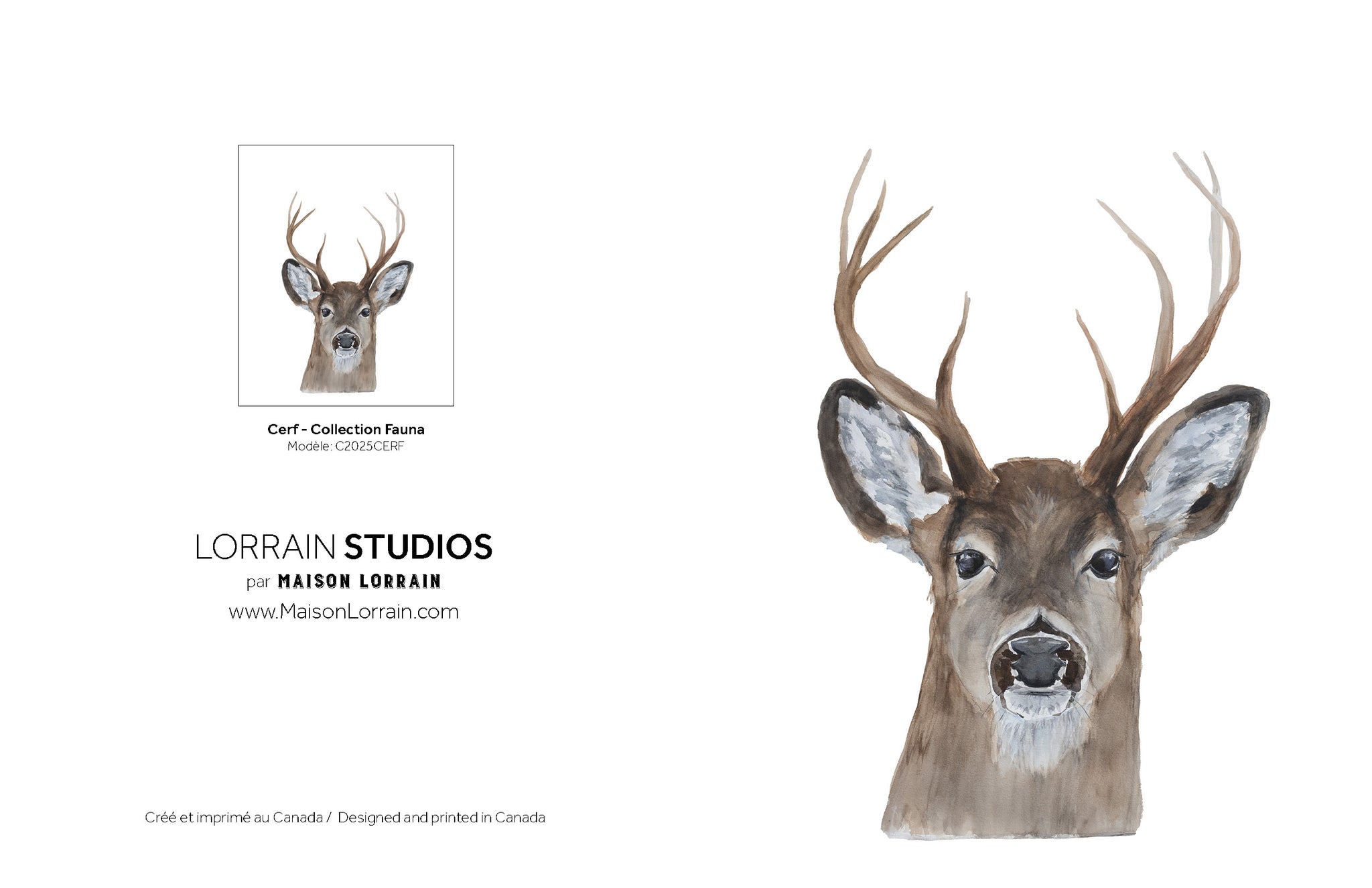 NEW Carte de souhaits - Cerf / Greeting Card