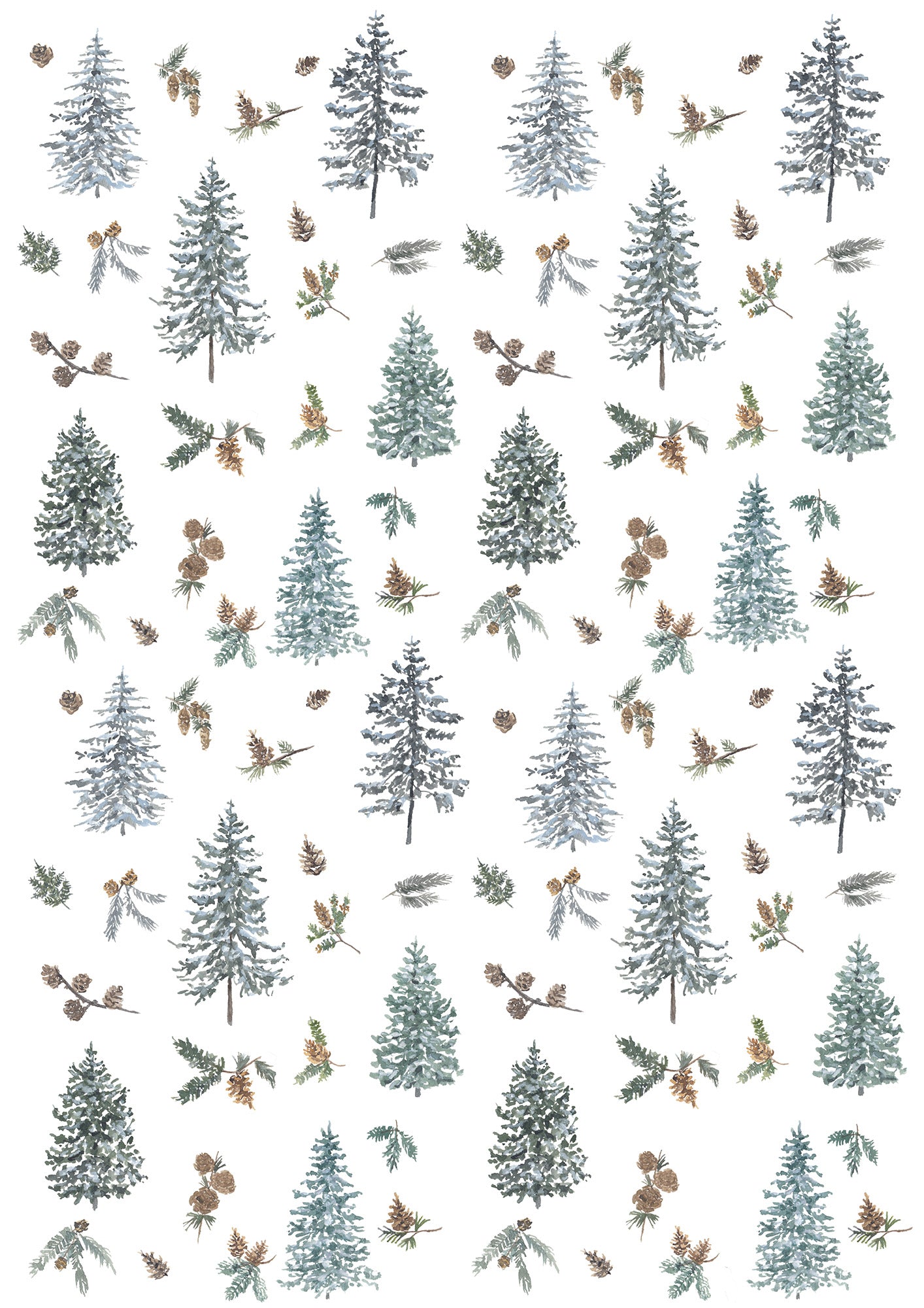 Sapin Baumier / Frasier Fir - Linge De Maison / Kitchen Linen