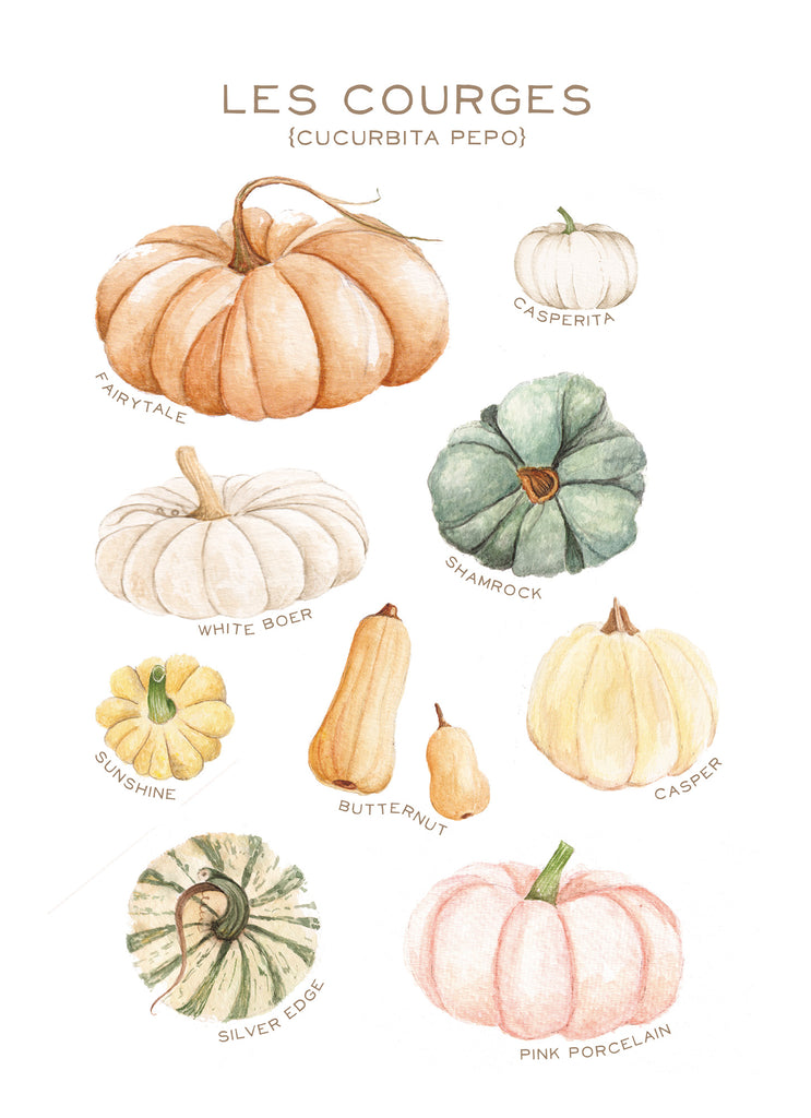 Les Courges - Linge de maison / Pumpkins Kitchen Linen