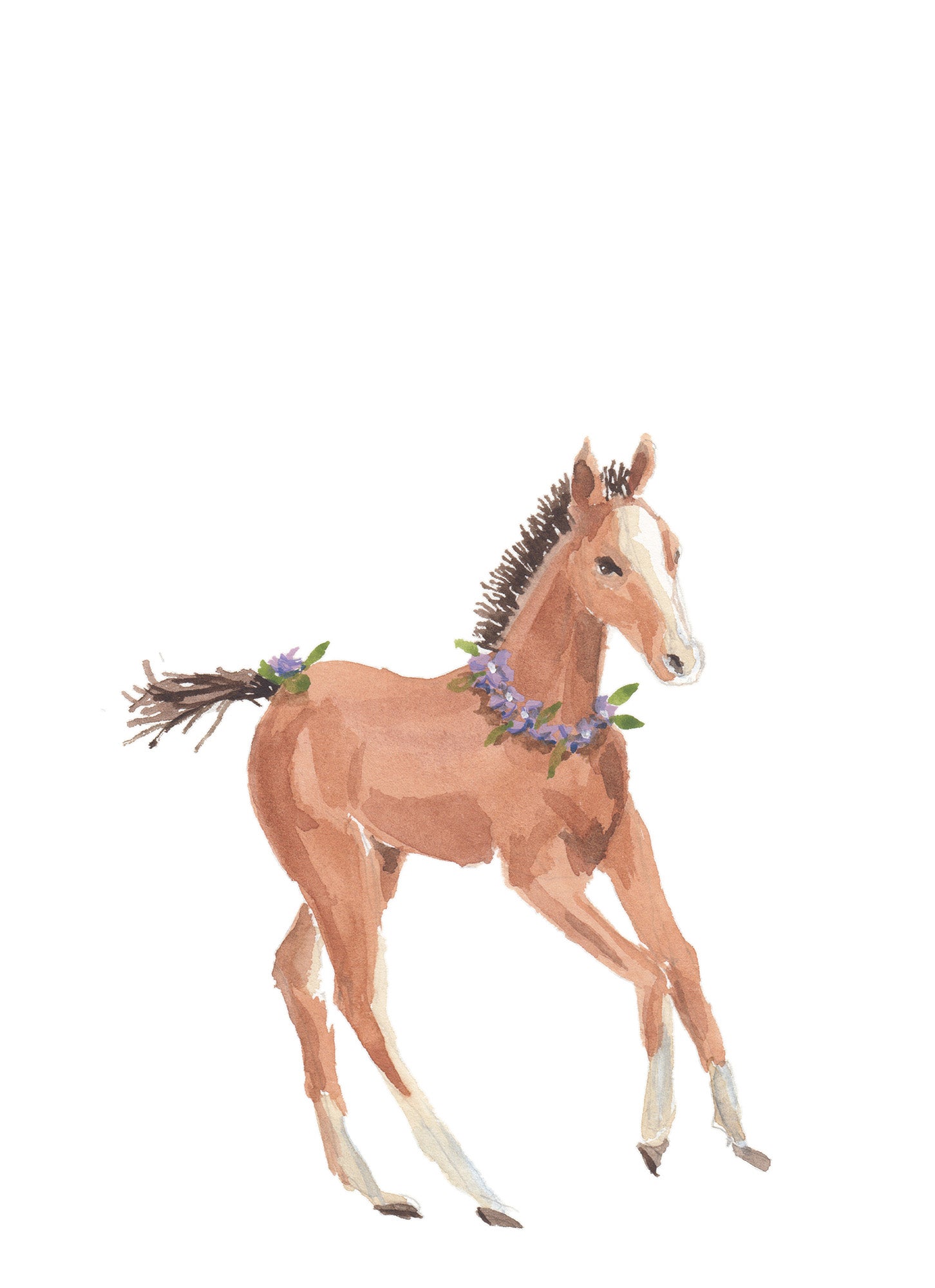 NEW Carte de souhaits - Poulain / Greeting Card - Foal