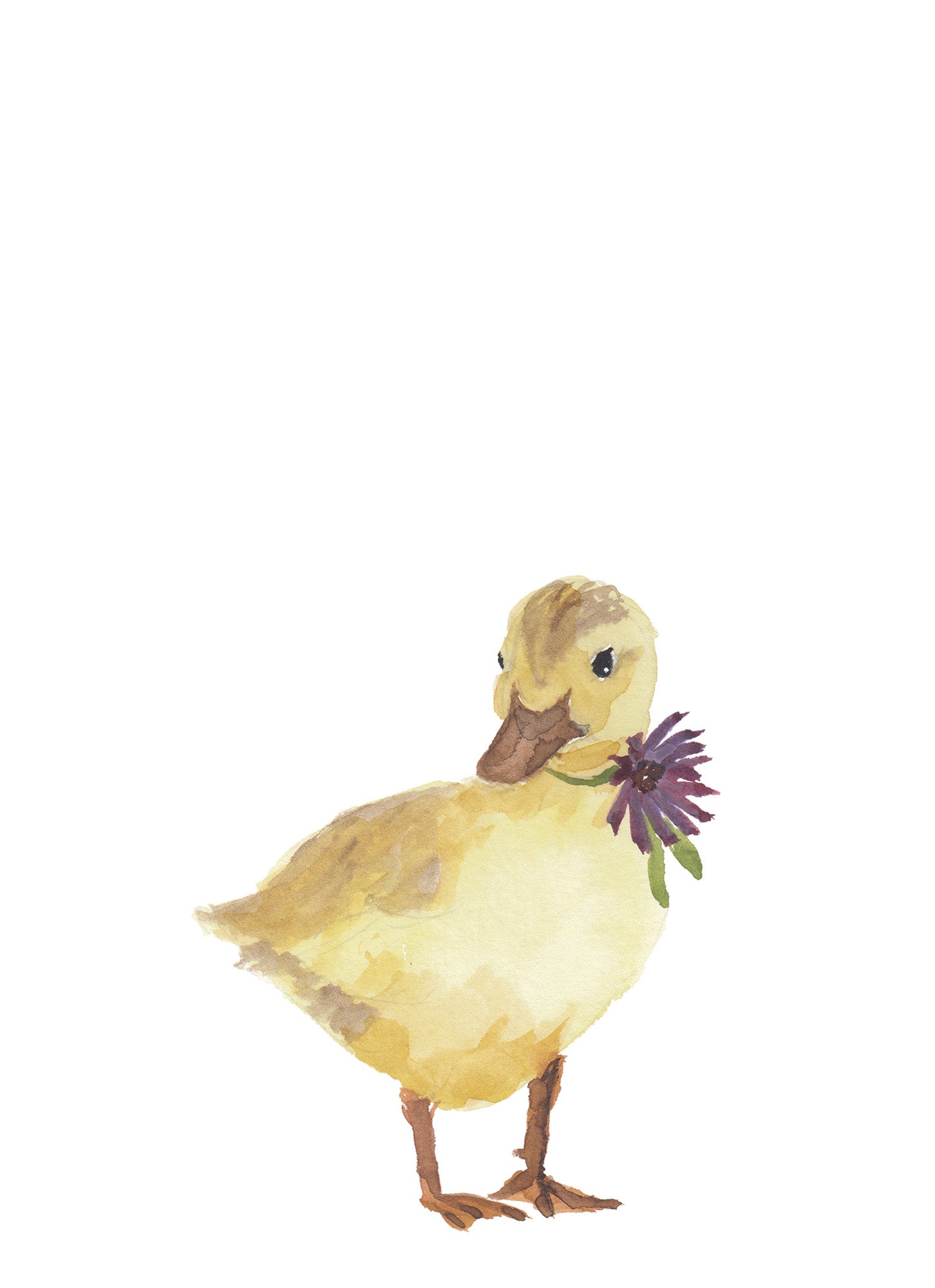 NEW Carte de souhaits - Caneton / Greeting Card - Duckling
