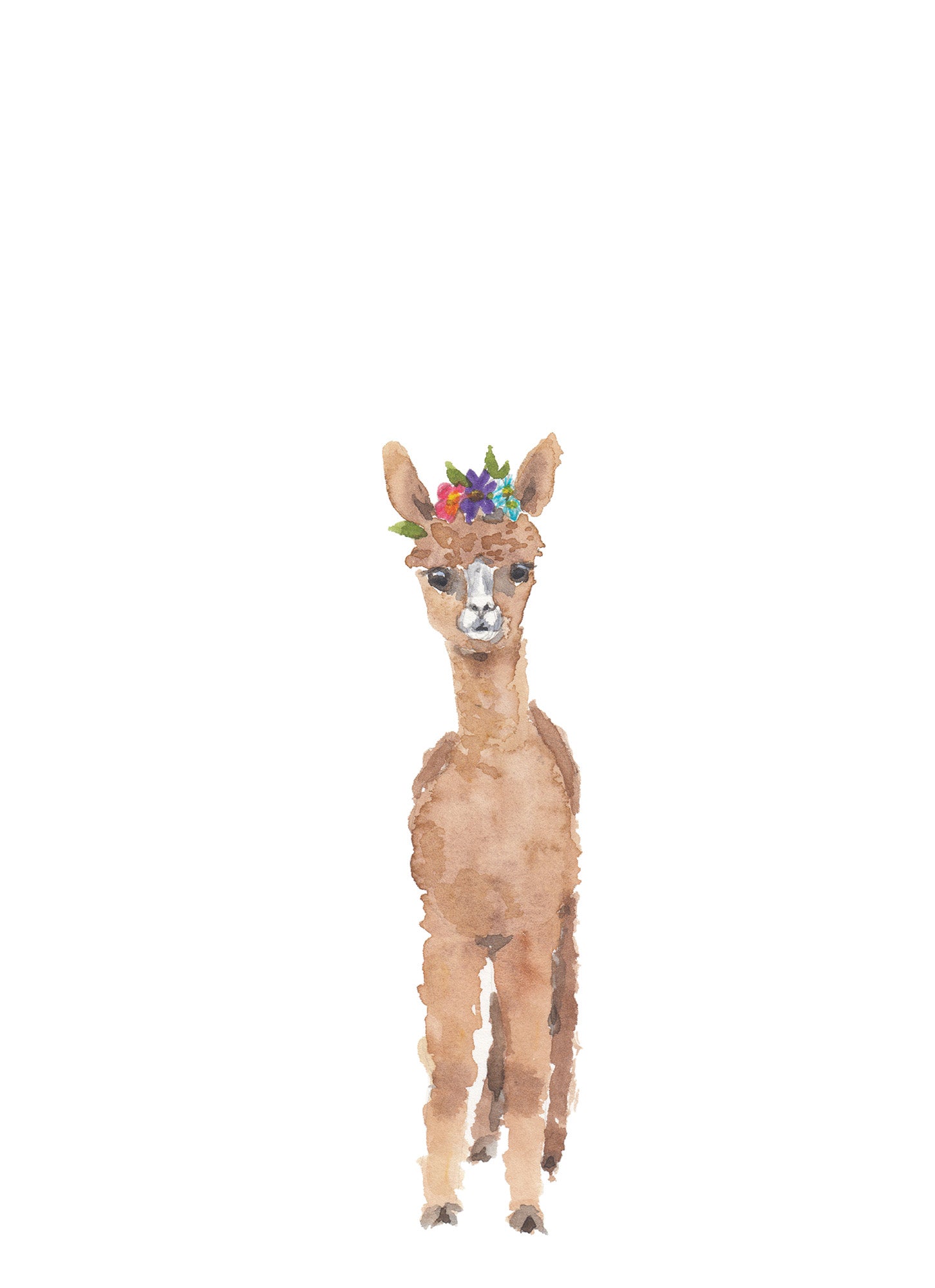 NEW Carte de souhaits - Alpaga / Greeting Card - Alpaca