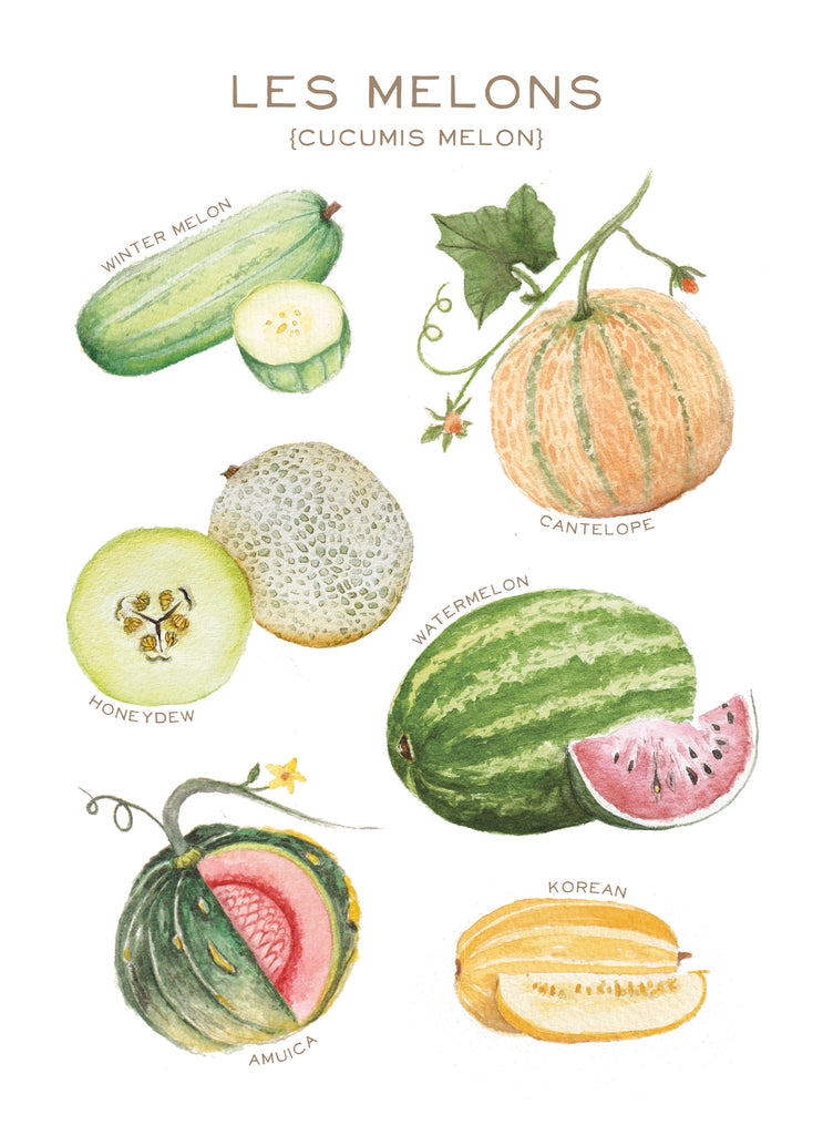 Les Melons - Linge de maison / Melons Kitchen Linen