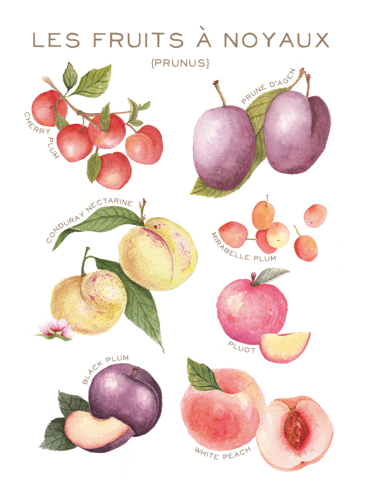 Les Fruits a noyaux - Linge de maison / Kitchen Linen