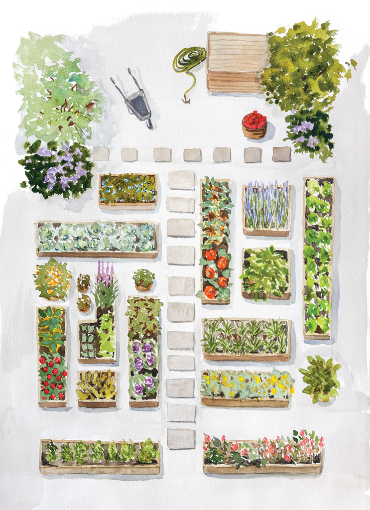 Le Potager - Linge De Maison / Kitchen Linen
