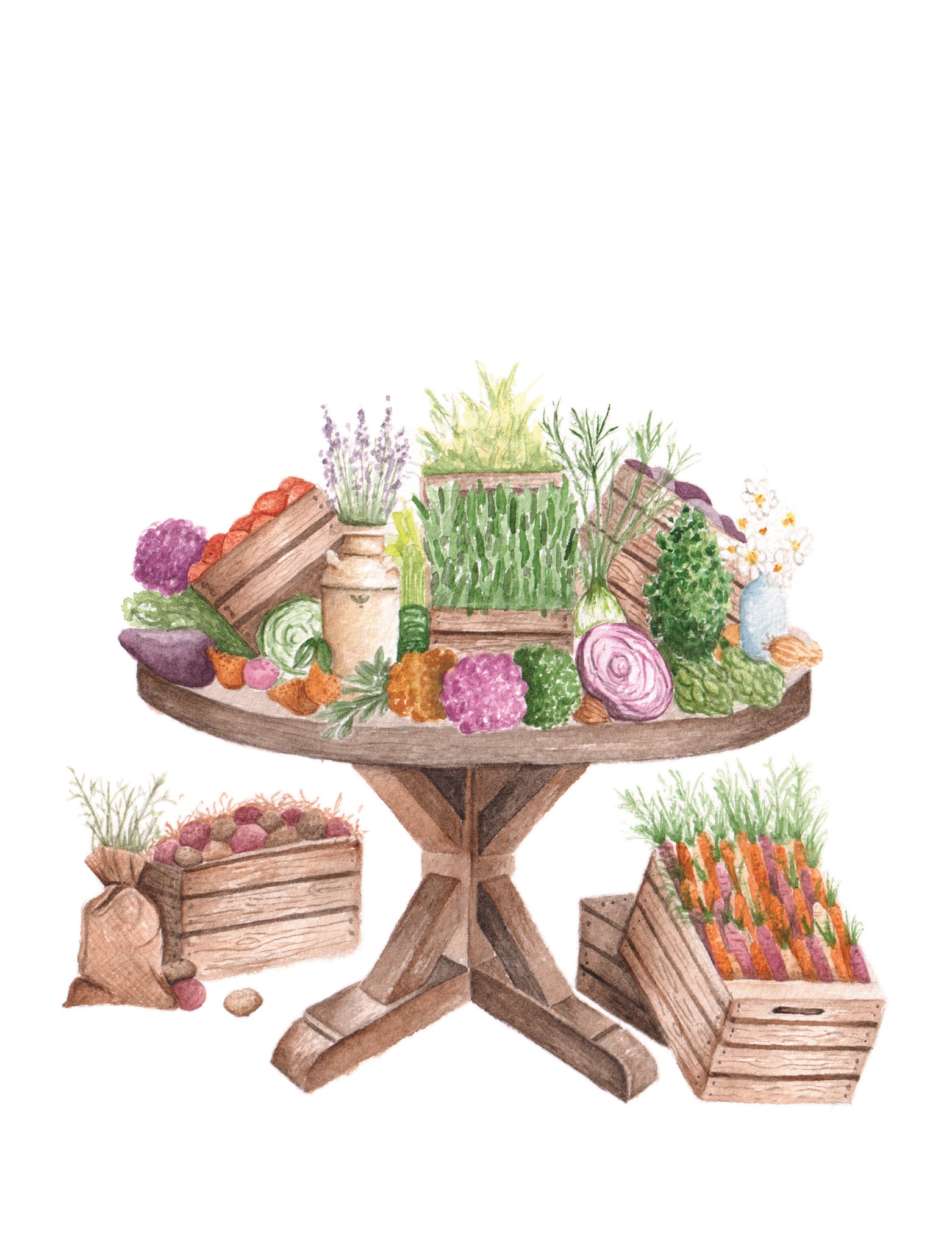 Farmer's Market - Linge De Maison / Kitchen Linen