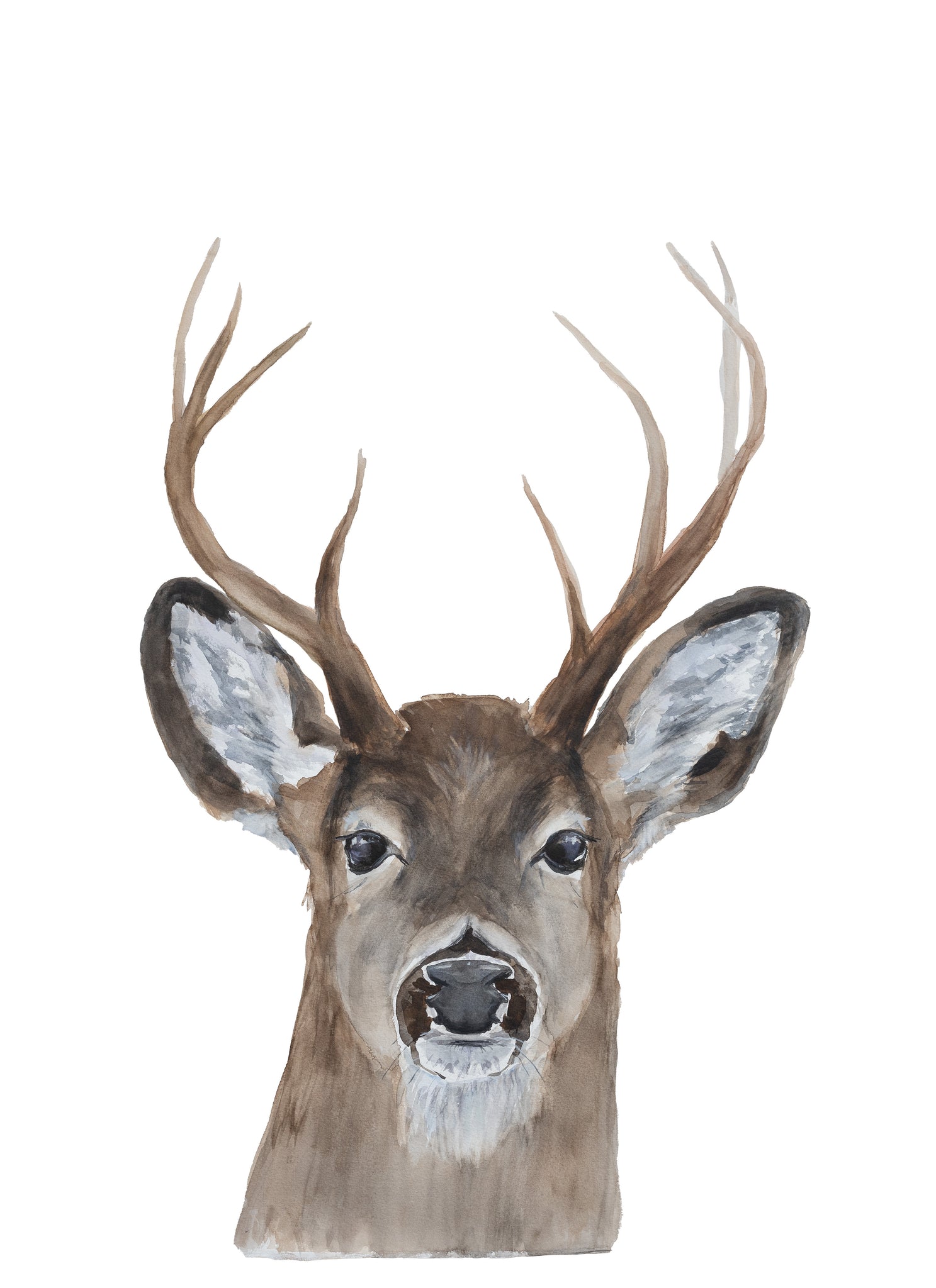 NEW Carte de souhaits - Cerf / Greeting Card