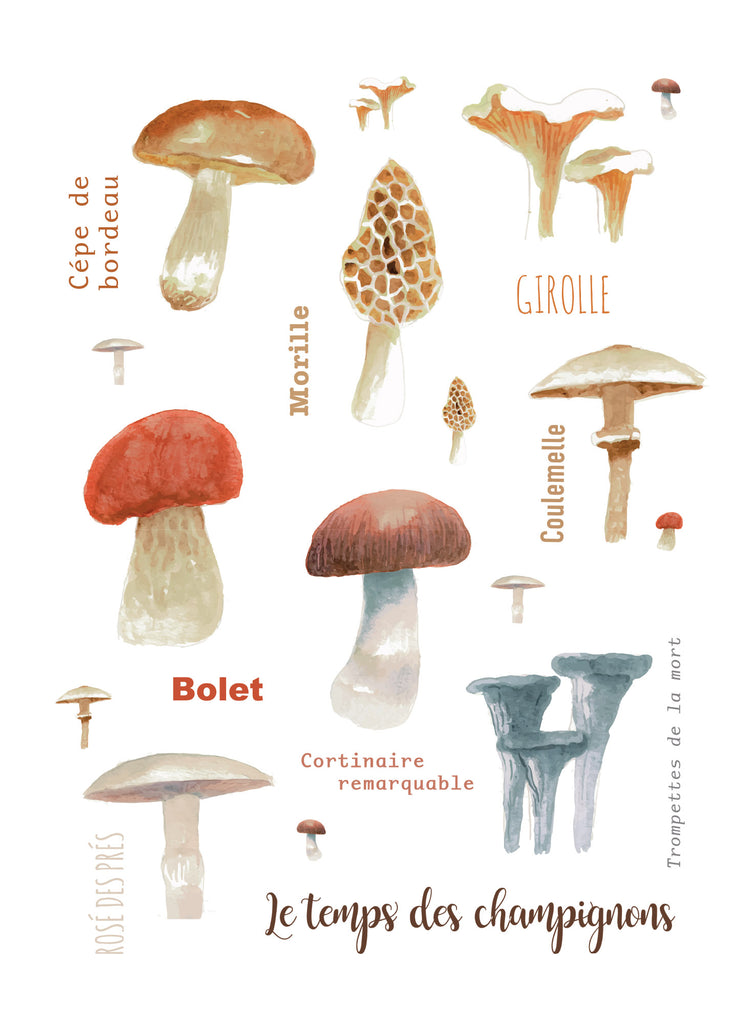 Le temps des champignons - Linge a vaisselle / Mushroom season Tea Towel